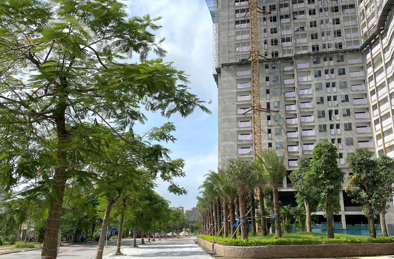 Tiến độ dự án Tecco Diamond Thanh Trì - HÌnh 7